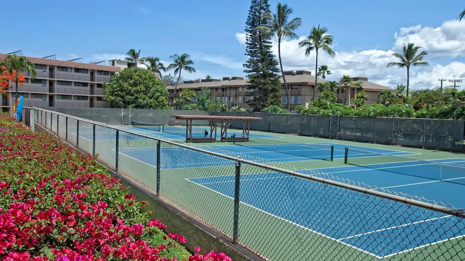 Kamaole Sands 6-310 - Mch Kihei 0*,  USA