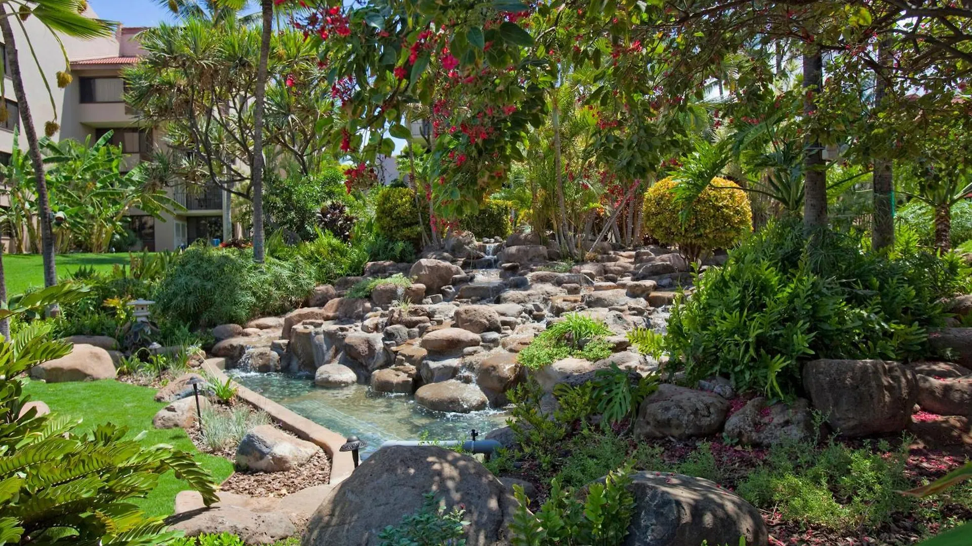 Holiday home Kamaole Sands 6-310 - Mch Kihei United States
